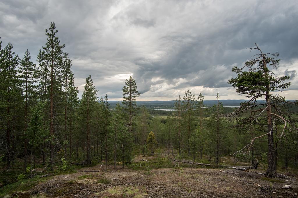 Pellon Helmi Holiday Cottages Bagian luar foto